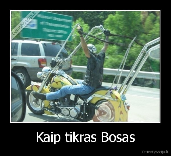 Kaip tikras Bosas