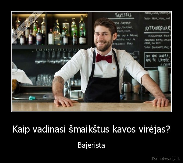 bajerista,barista