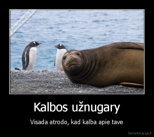 Kalbos užnugary