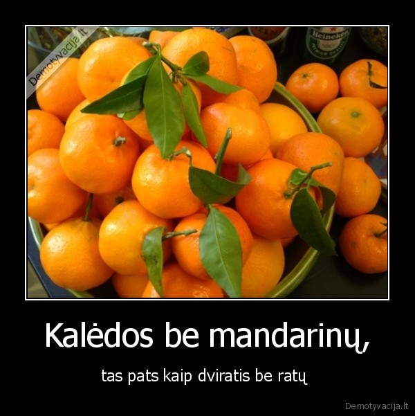 mandarinai,kaledos,dviratis