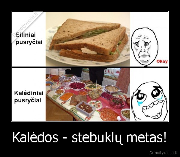 Kalėdos - stebuklų metas!