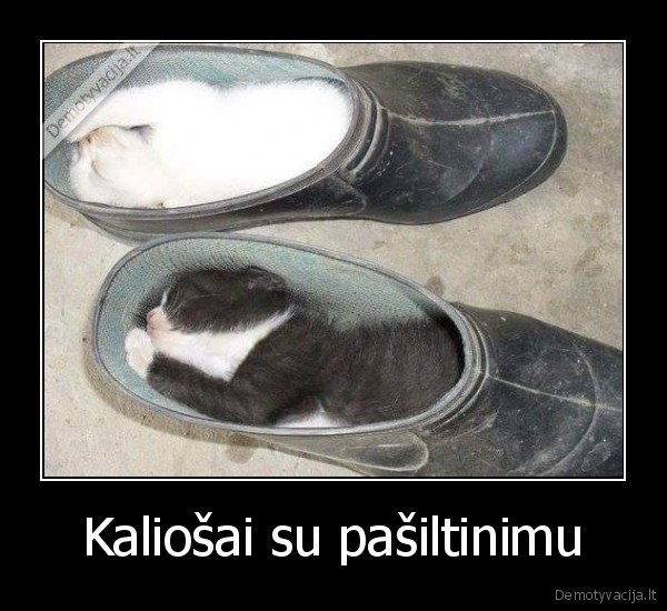 Kaliošai su pašiltinimu