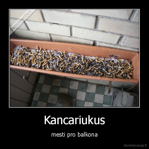 Kancariukus