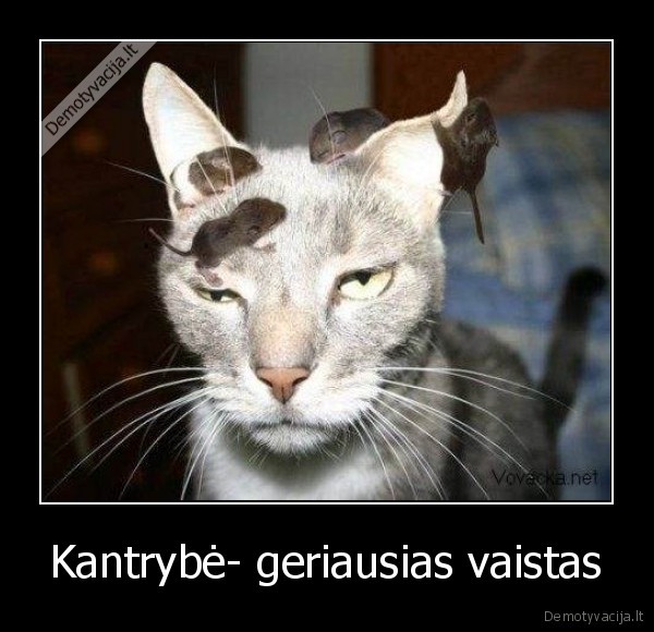 Kantrybė- geriausias vaistas