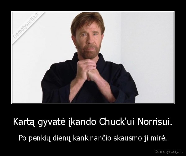 chuck, norris,gyvate