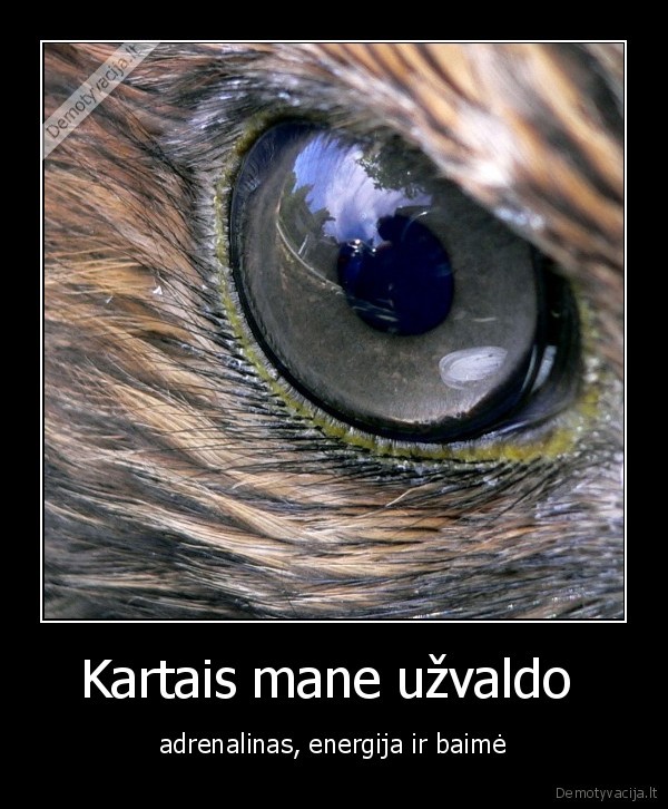 Kartais mane užvaldo 