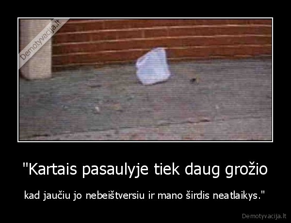 &quot;Kartais pasaulyje tiek daug grožio