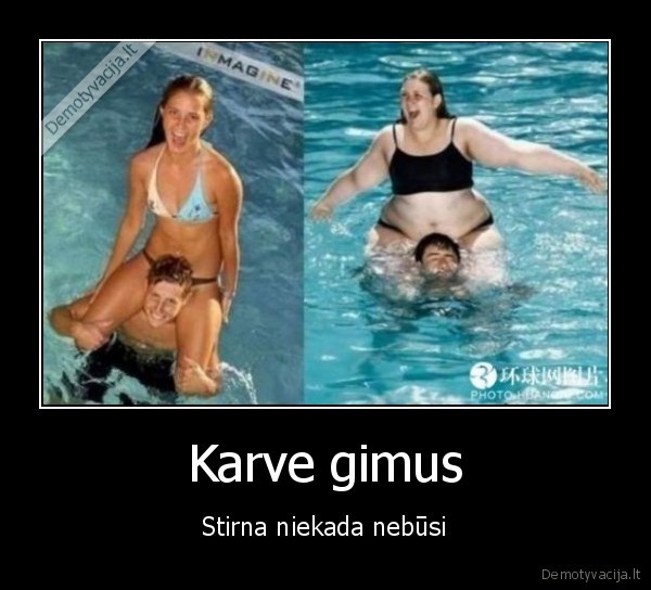 Karve gimus