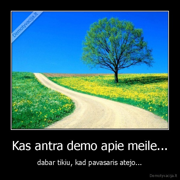 Kas antra demo apie meile...