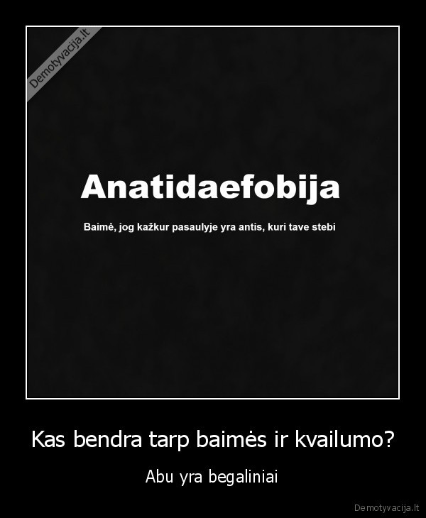 baime,kvailumas,begalybe,fobija,antis