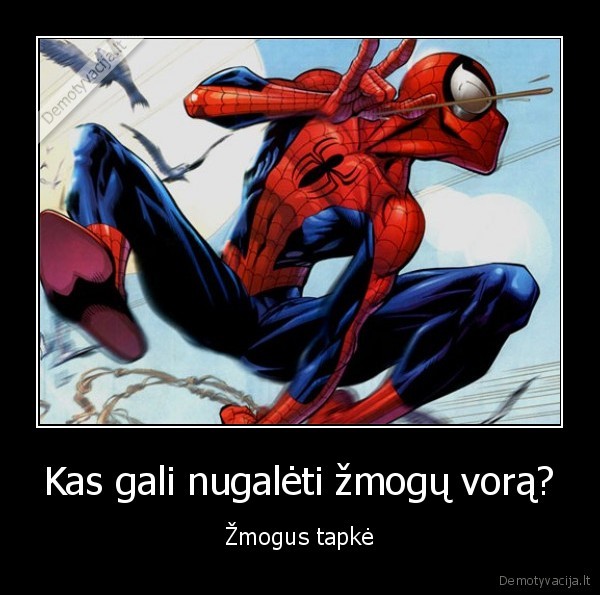 spider, man