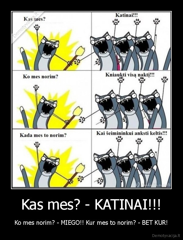 Kas mes? - KATINAI!!!