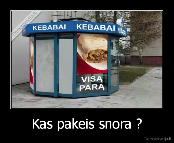 snoras, kubilius, megsta, kebabus