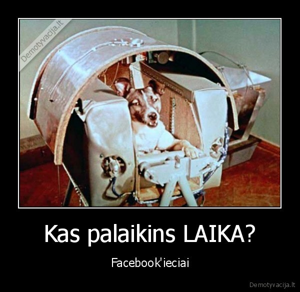 laika,facebook,sunys,kosmosas,suo,meile