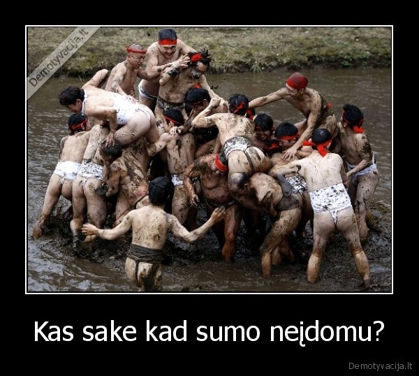 Kas sake kad sumo neįdomu?