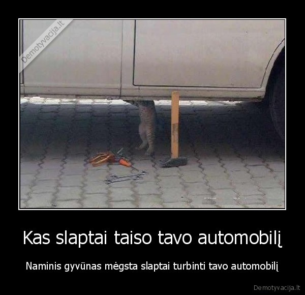 Kas slaptai taiso tavo automobilį