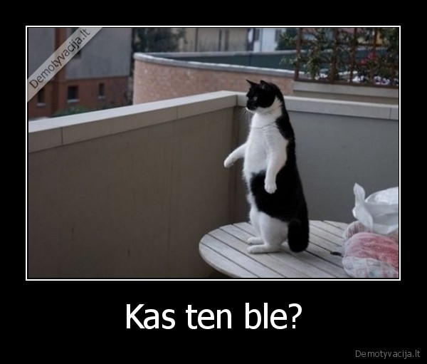 Kas ten ble?