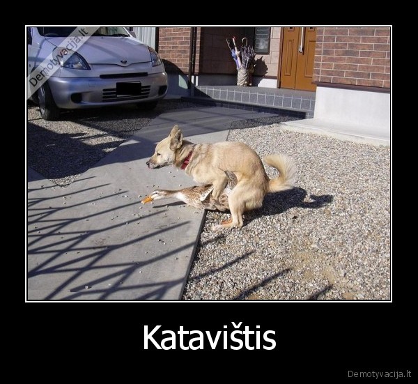 Katavištis