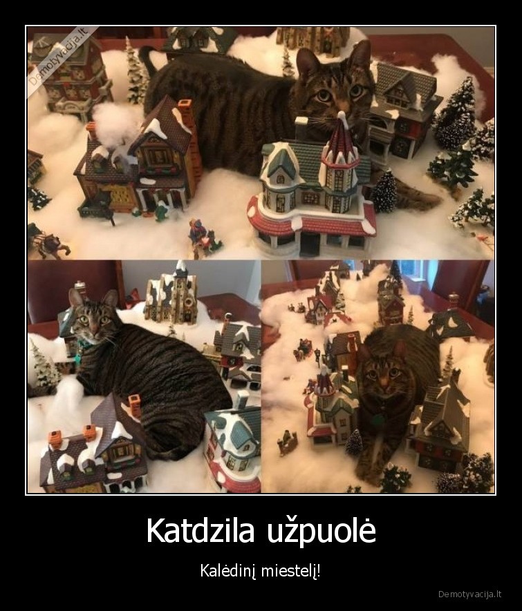 katdzila,godzila,katinas,didelis,miestas