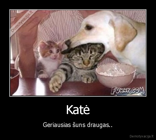 kate,suo