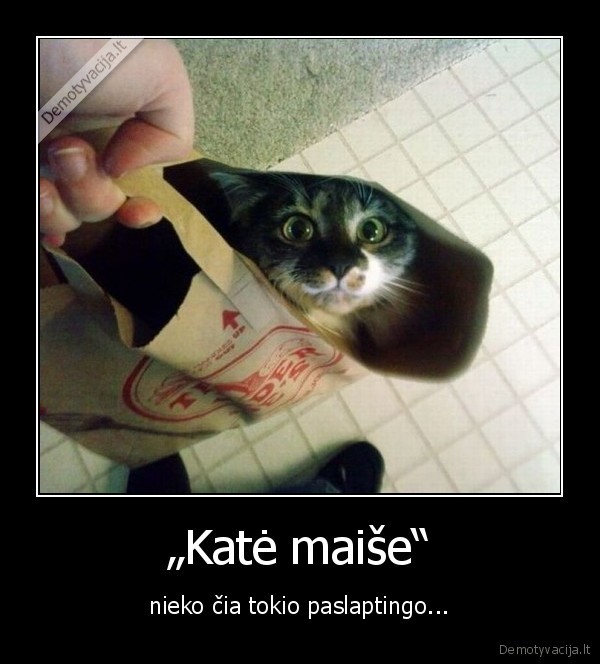 „Katė maiše“