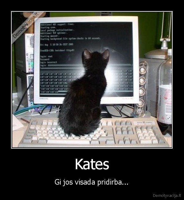 Kates