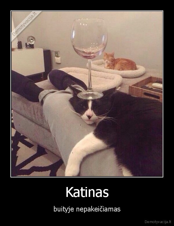 Katinas