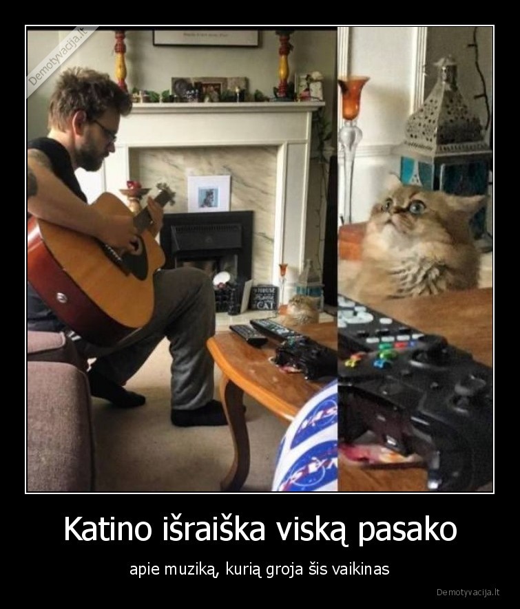 katinas,katinai,augintiniai,gyvunai,muzika,gitara,israiska