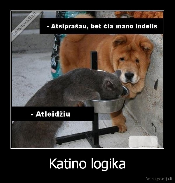 Katino logika