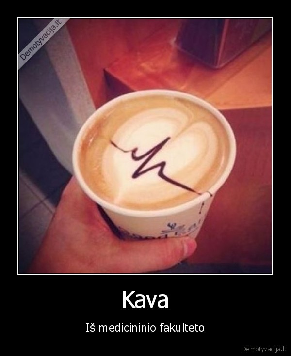 Kava