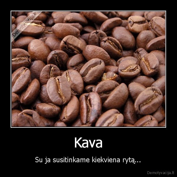 kava