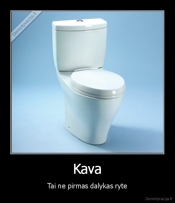 Kava