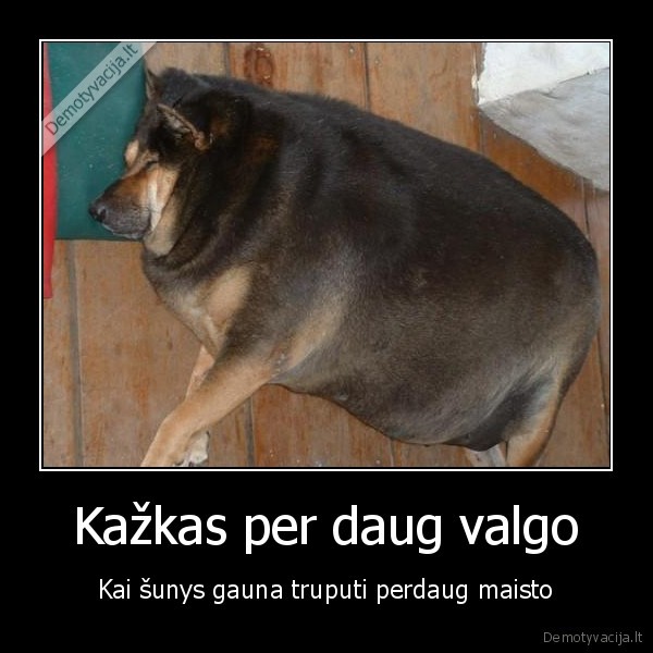 Kažkas per daug valgo