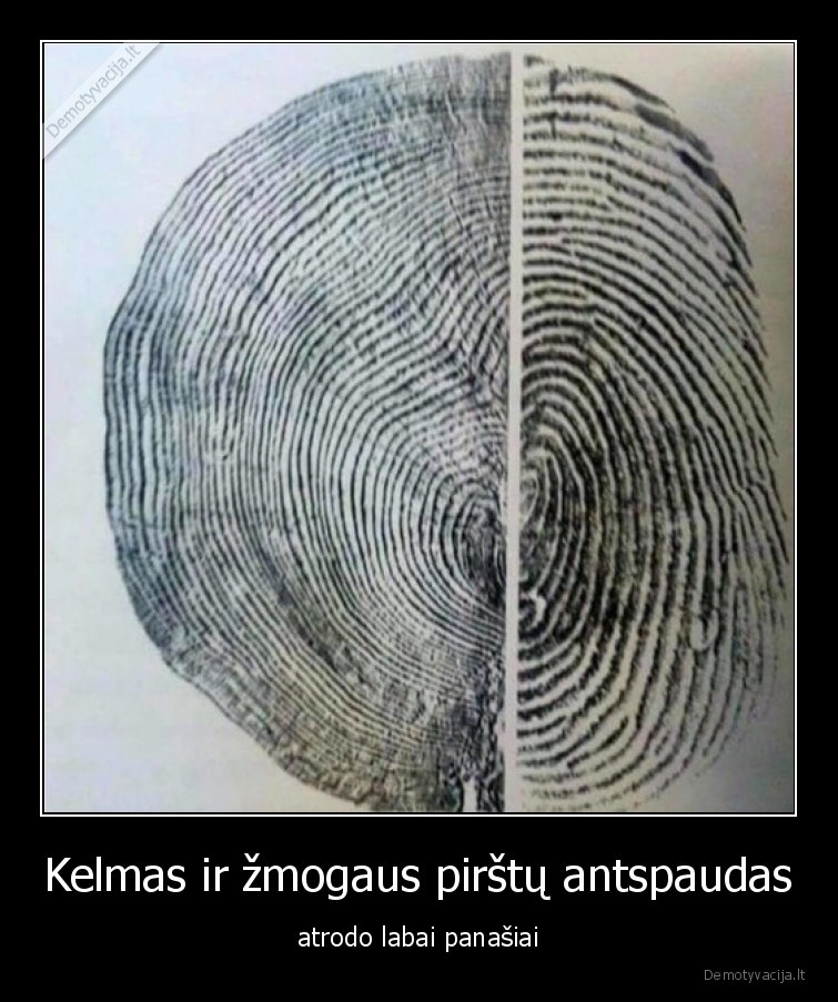 kelmas,antspaudas,pirstas,linijos