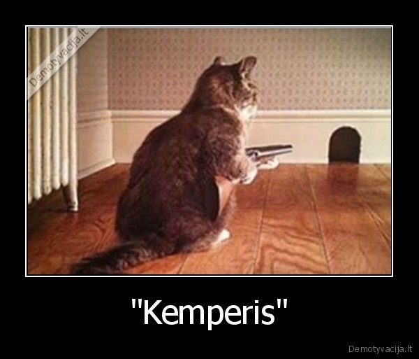 &quot;Kemperis&quot;