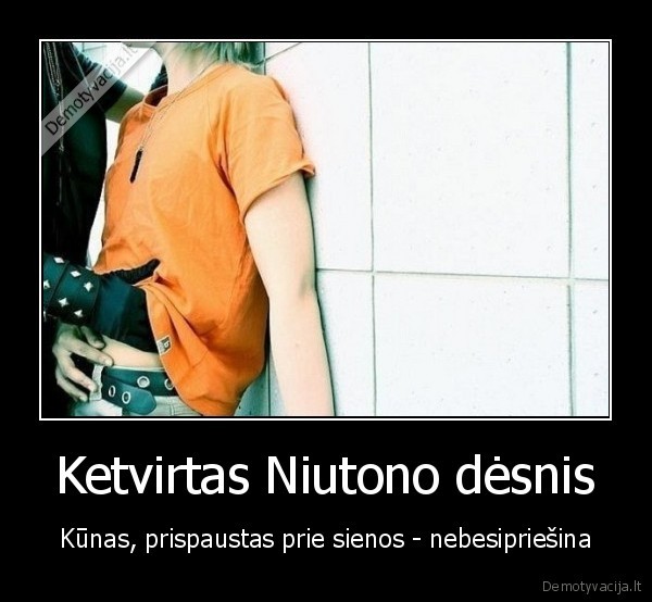 Ketvirtas Niutono dėsnis