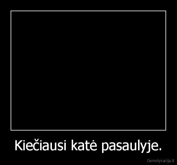 Kiečiausi katė pasaulyje.