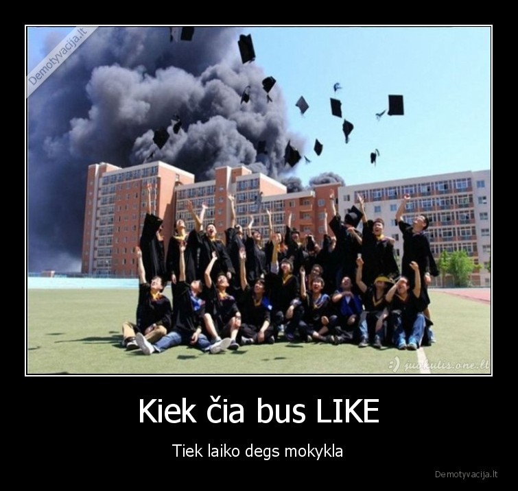 Kiek čia bus LIKE