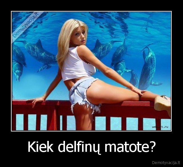 Kiek delfinų matote?