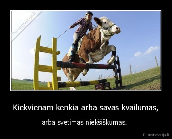 Kiekvienam kenkia arba savas kvailumas,