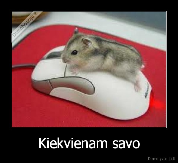 Kiekvienam savo