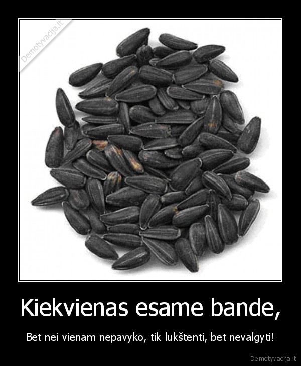 Kiekvienas esame bande,