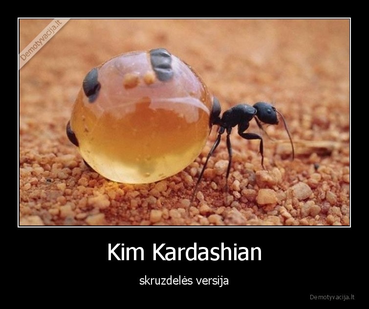 skruzdeles, versija,kim, kardashian