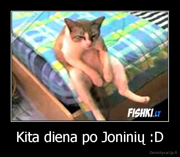 Kita diena po Joninių :D