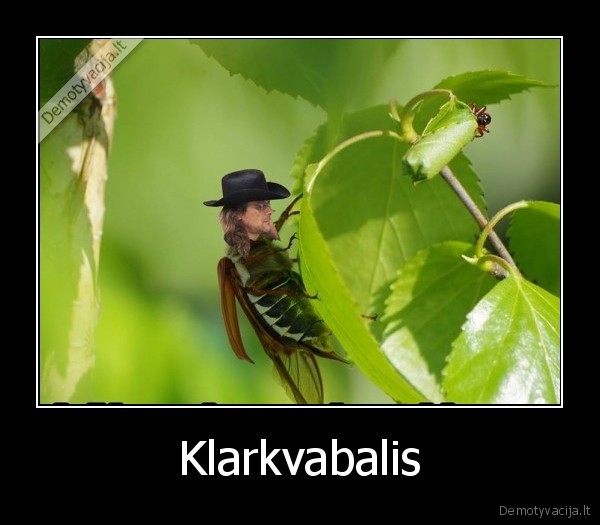 klarkas,karkvabalis