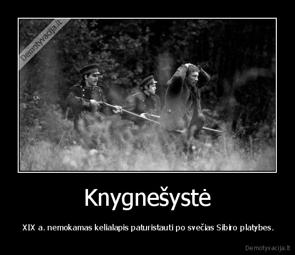 knygnesyste