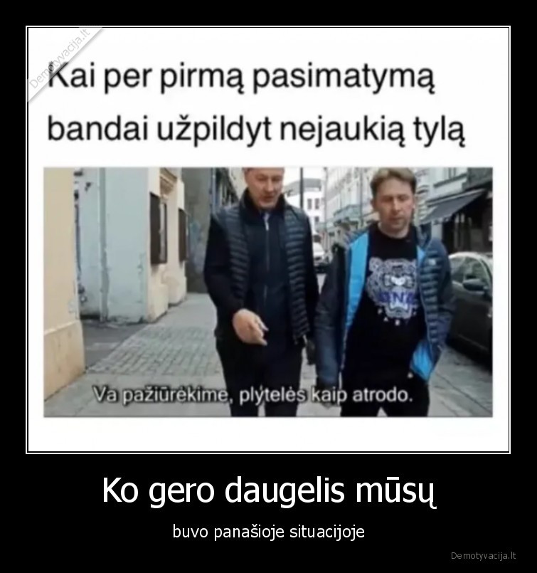 sel,zuokas,plyteles,pasimatymas