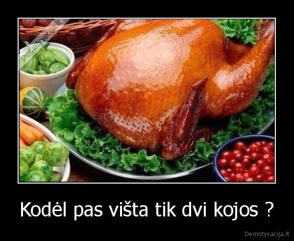 Kodėl pas višta tik dvi kojos ?