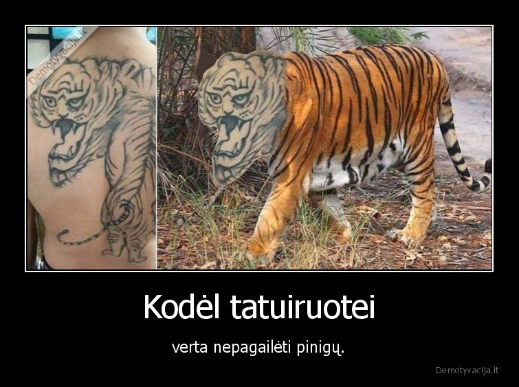 tatuiruote,fail,tikras