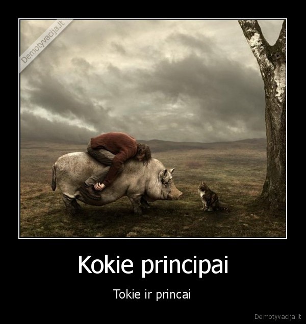 Kokie principai